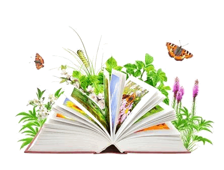 Основні цілі НРЦ